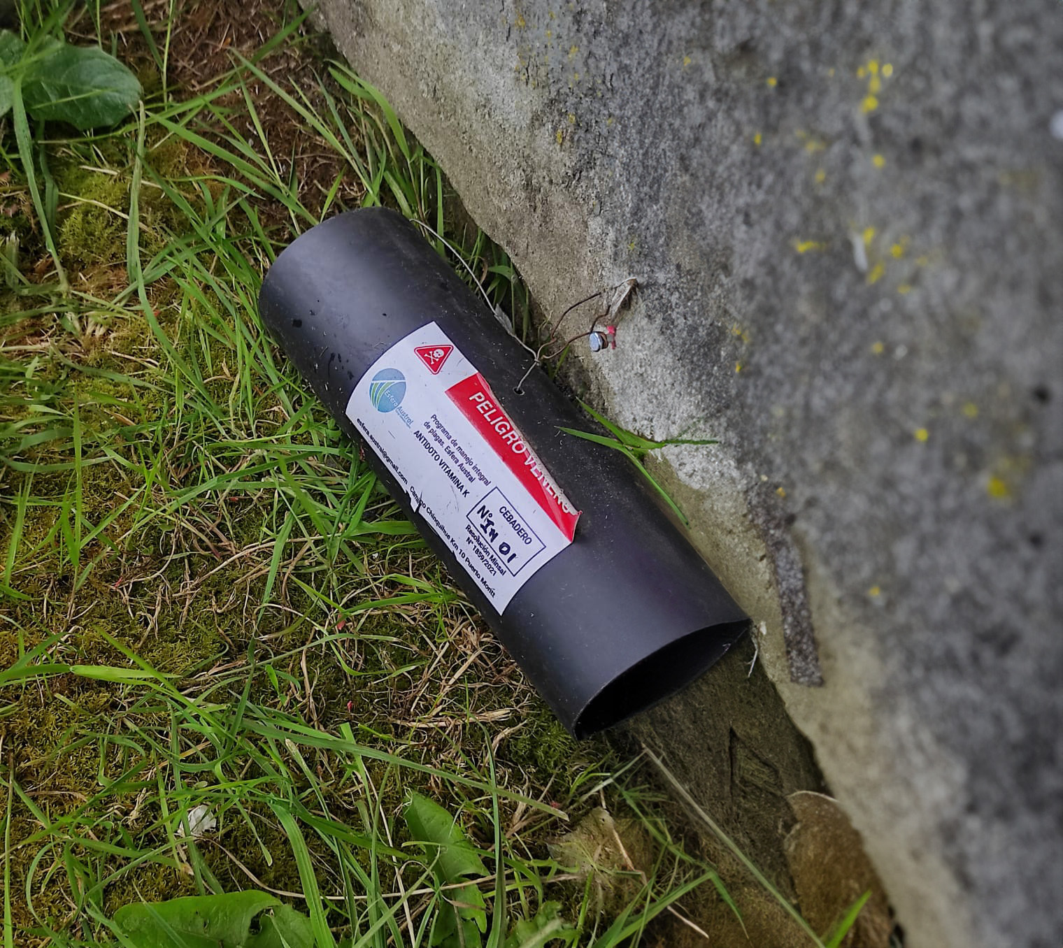 WhatsApp Image 2024-01-18 at 3.17.13 PM (4)